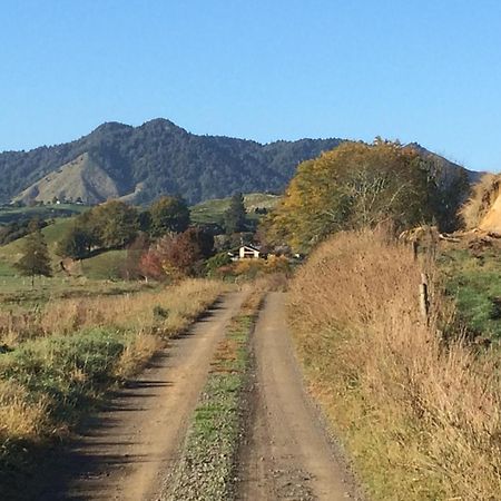 Waiotahe Dairy Farm Hideout Villa Waiotahi Eksteriør billede